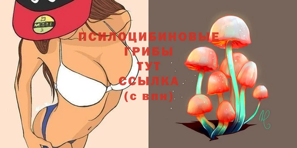 PSILOCYBIN Горно-Алтайск